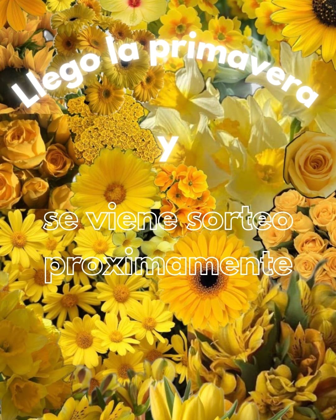 Llegó la primavera, se viene sorteo próximamente